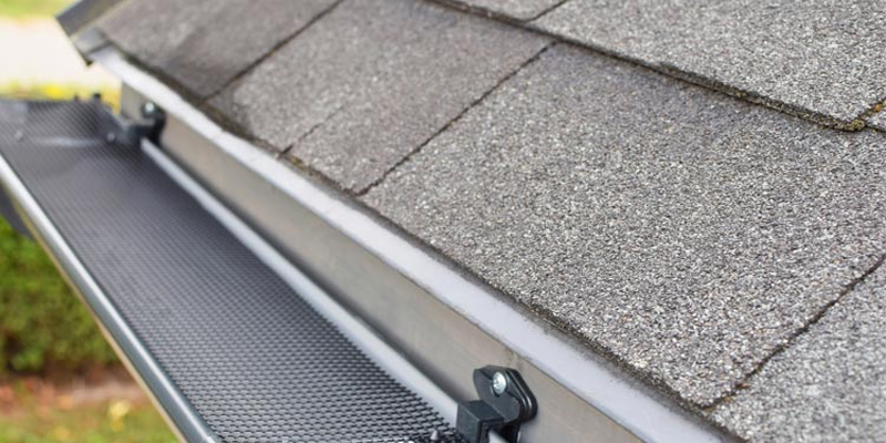 siding services in Coon Rapids, MN