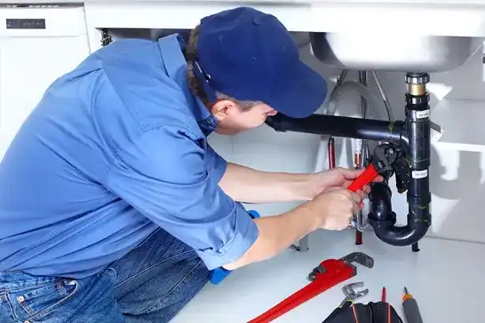 Professional Leak Repair Services