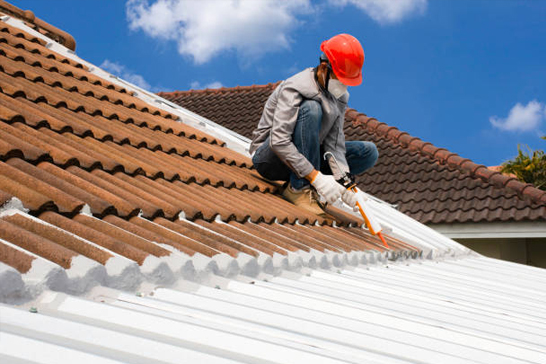 Professional Roof Sealing Services